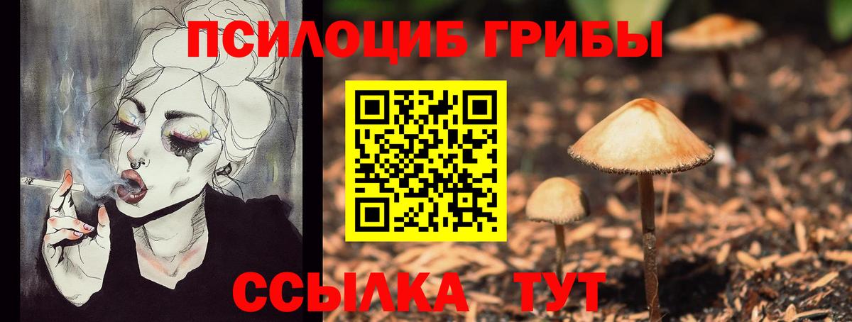 Армавир  Галлюциногенные грибы Psilocybine cubensis  Вход с VPN 